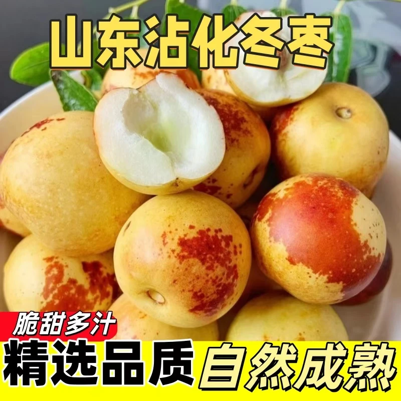 山东特产沾化冬枣冰糖甜脆枣大青枣红枣高端新鲜水果特大5斤包邮