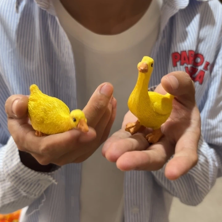 瓷片样品样品样品样品小鸭子