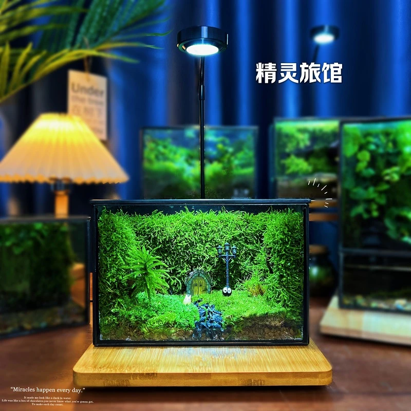 【精灵旅馆】治愈桌面绿植盆栽苔藓微景观创意生态瓶