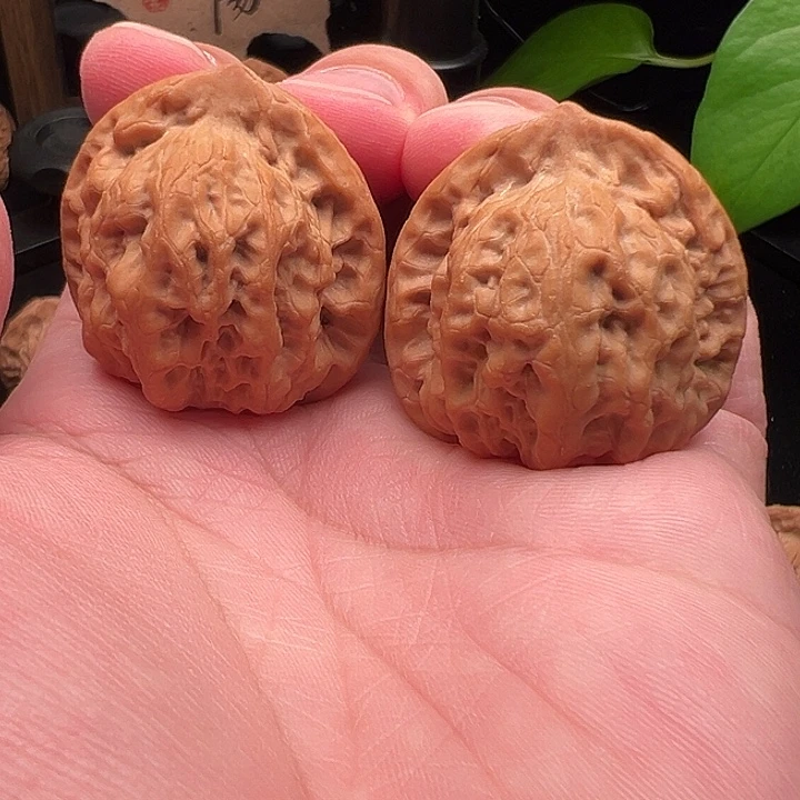 木质类山一代原生态佛肚39尺