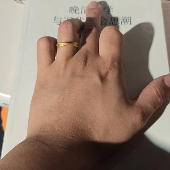 晚-与近代社会思潮平装库存书