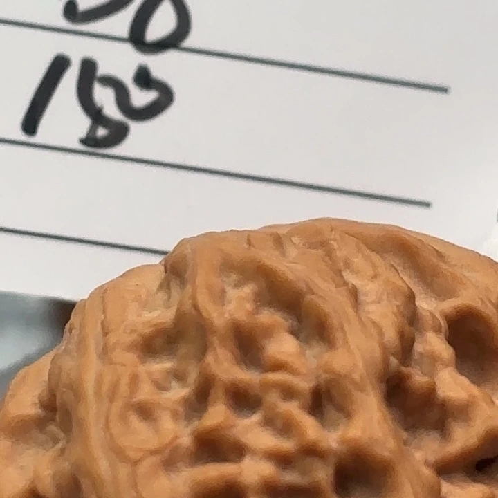 文玩核桃把件或*野生60