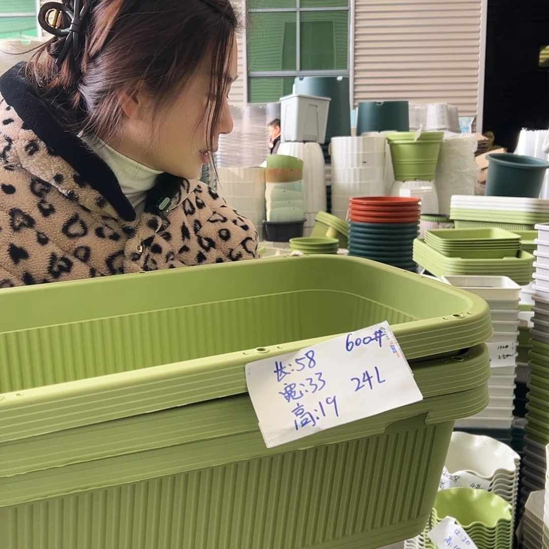 瑕疵菜盆600#果绿3个无托