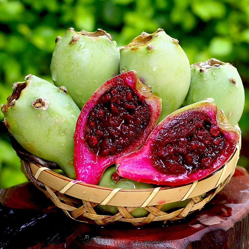 海南三亚新鲜仙人掌果仙桃热带稀奇水果现摘现发