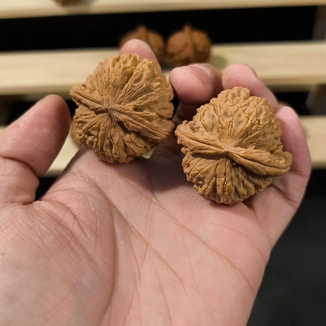 文玩核桃吊坠43白狮子