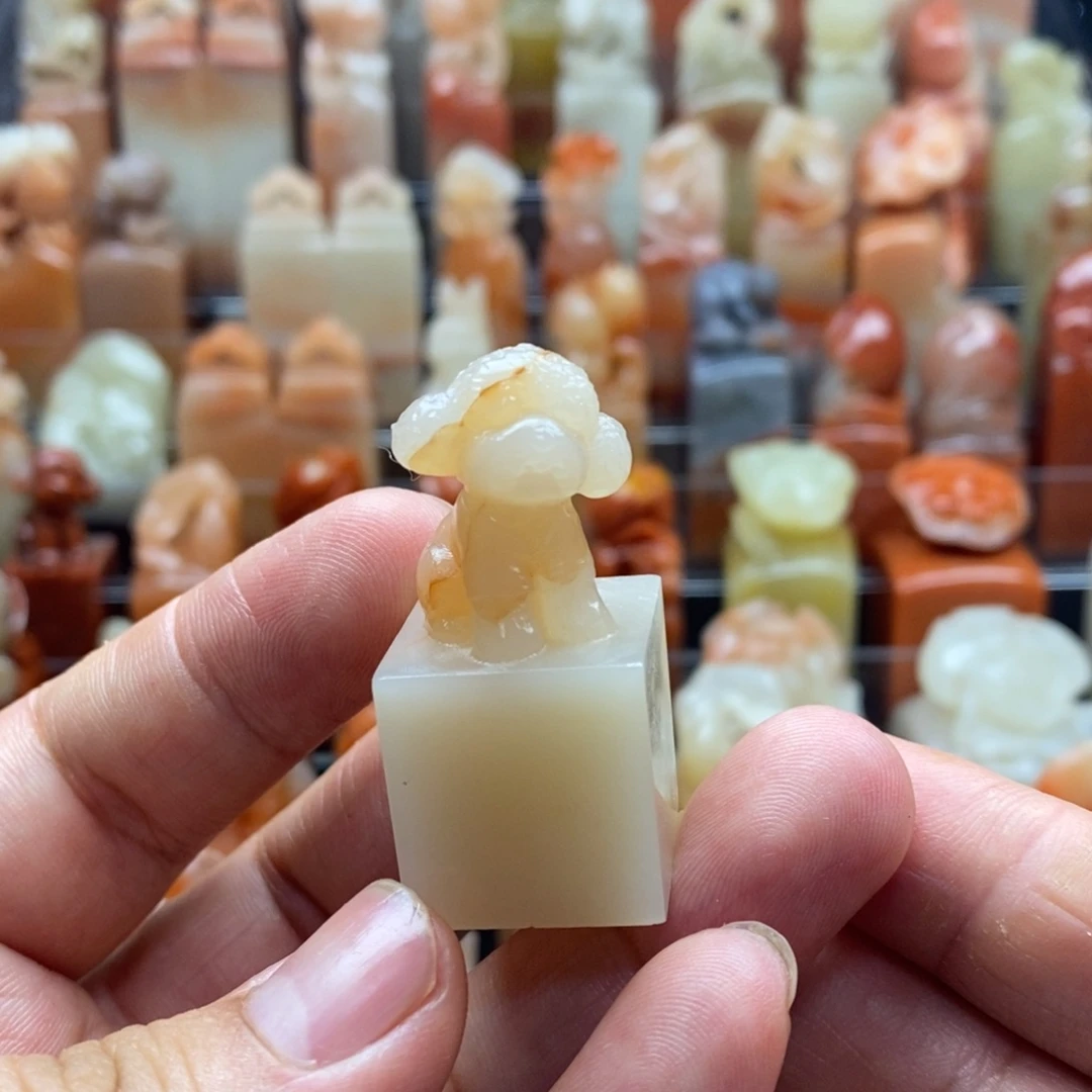 老挝石开播福利 狗狗