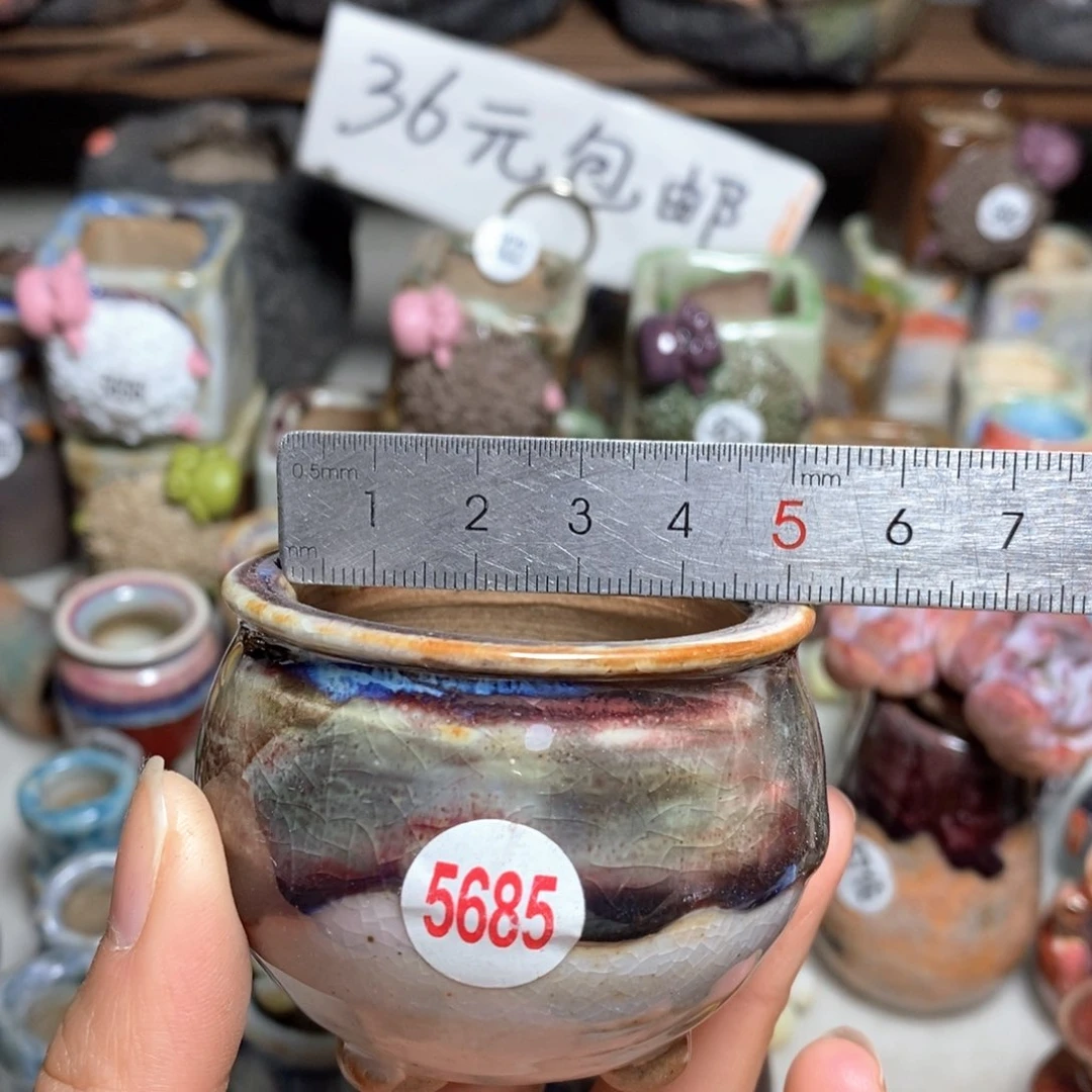 拍5送一个小礼物