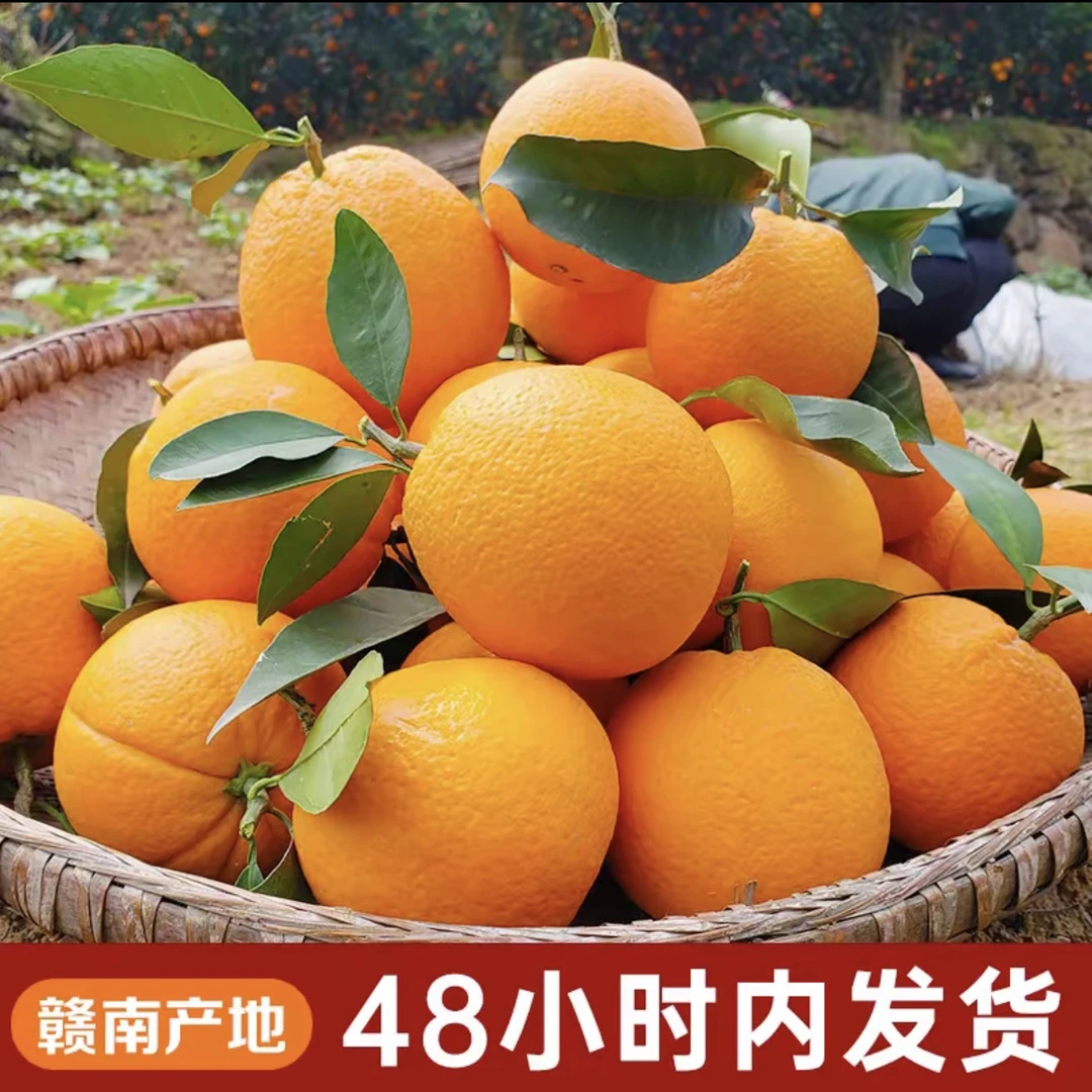 正宗江西赣南脐橙新鲜现摘薄皮香甜爆汁信丰产地直发当季水果
