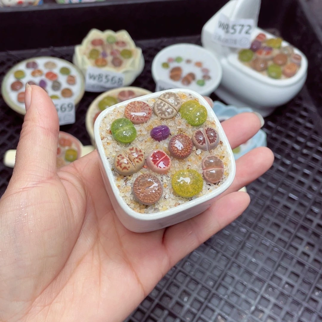 w-8576 零下地区拍保温箱-15支持寄养