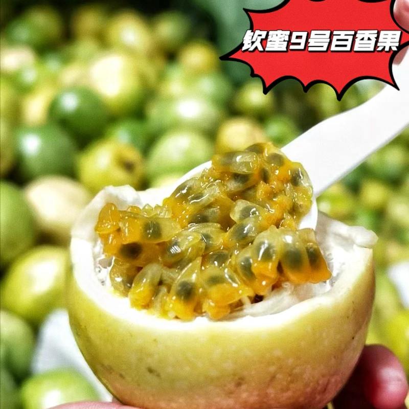 广西钦蜜9号黄金百香果新鲜水果当季现摘白香果原浆果酱包邮