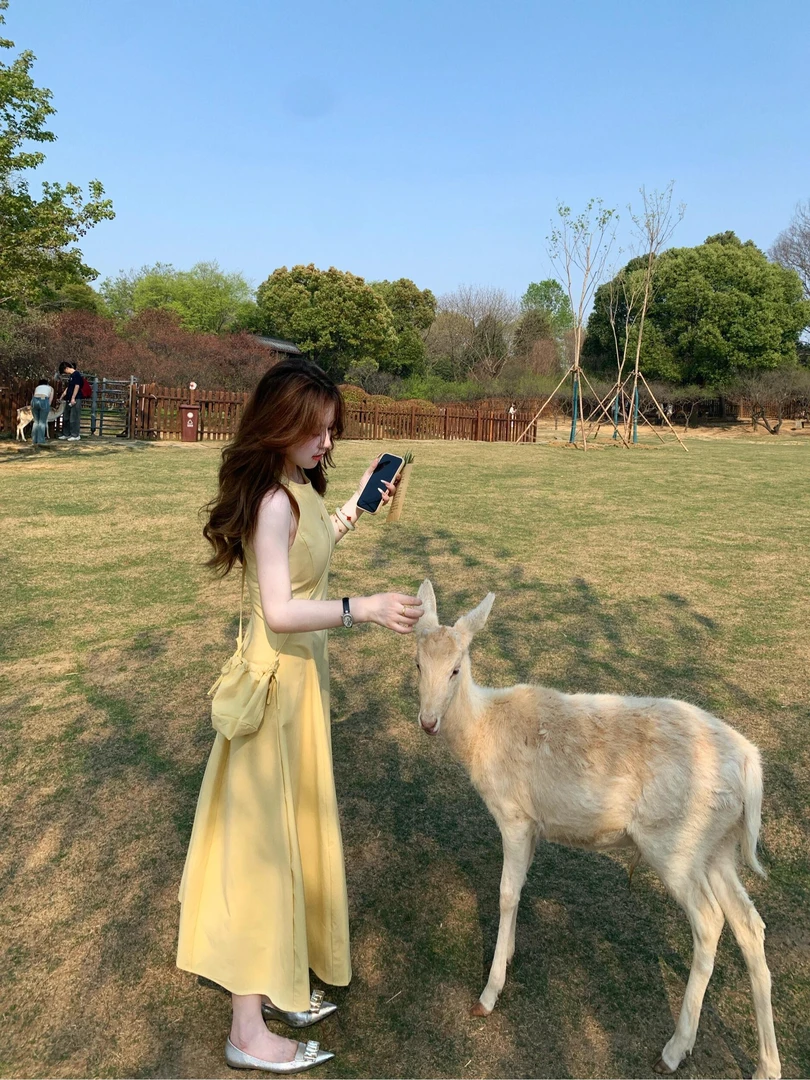 2025夏季新款温柔无袖黄色连衣裙女韩版圆领收腰显瘦a字背心长裙