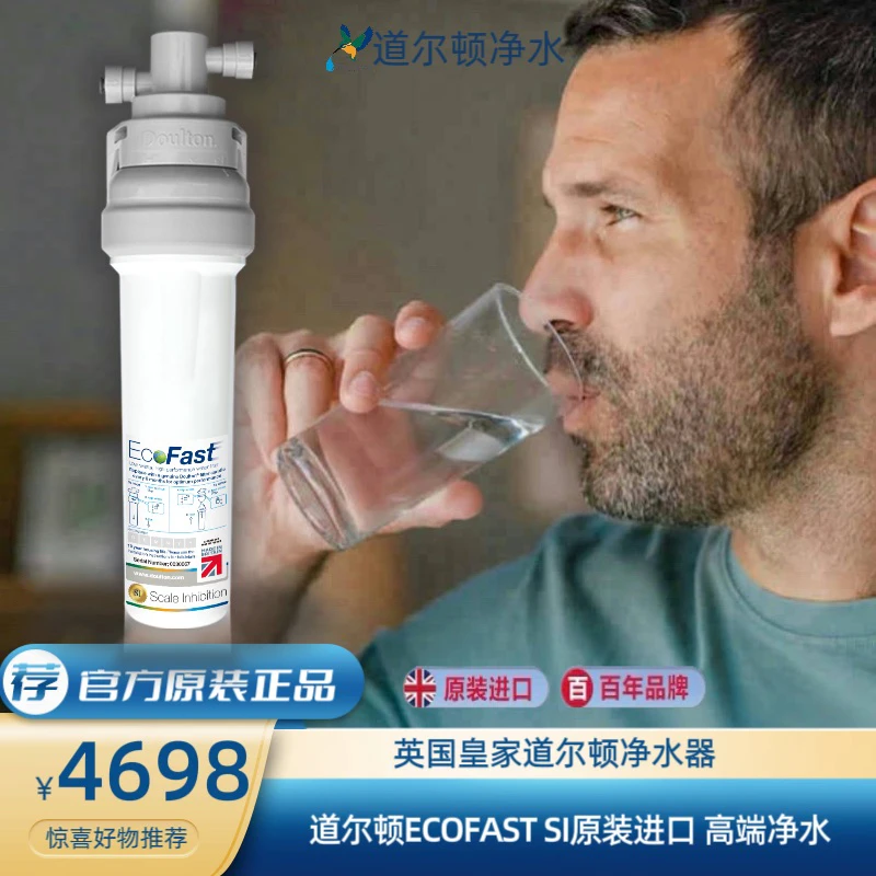 英国道尔顿净水器净化过滤器净水机Ecofast-si家用小型直饮便携