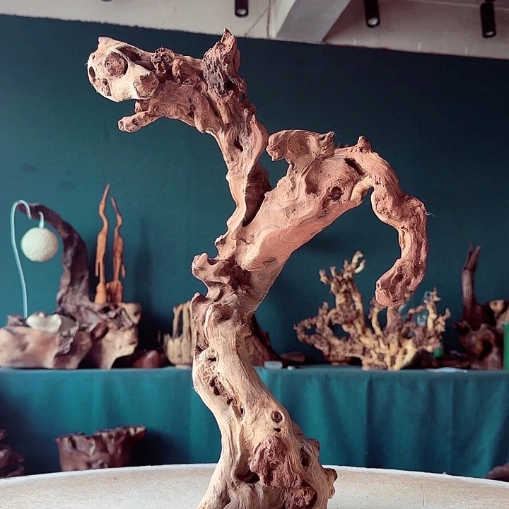 悟***州木413 金丝红木羊蹄甲半成品