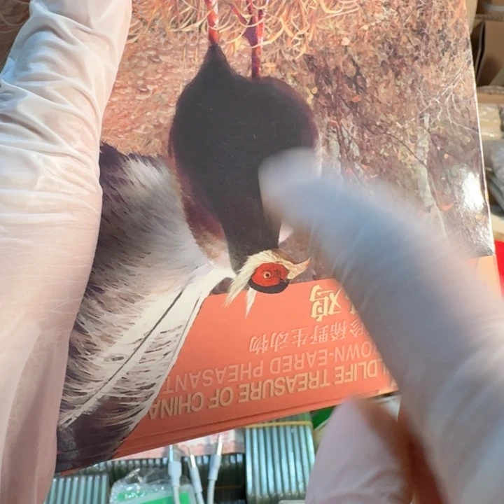 其他普通金属褐马鸡卡册