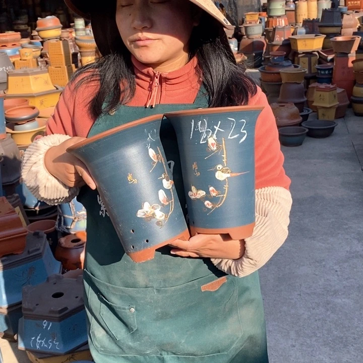 紫砂花盆盆栽花卉苗木种植