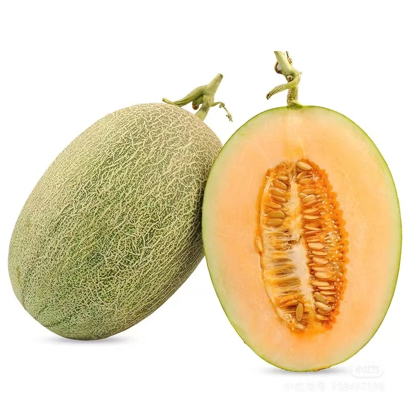 高端哈密瓜