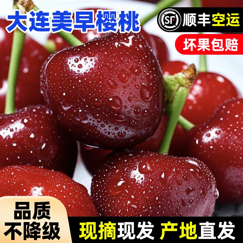 【露天头茬】大连美早大樱桃2/3/5斤装 顺丰空运 大连樱桃现摘现发
