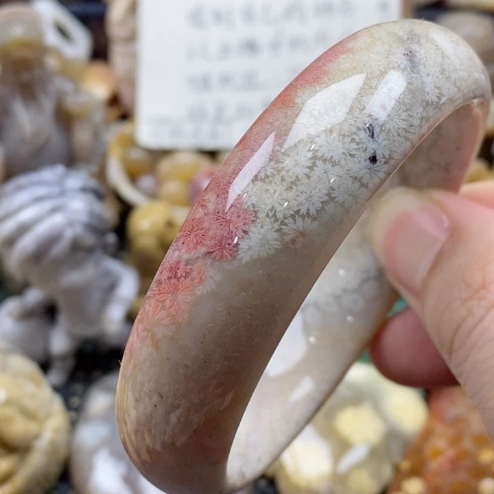 硅化珊瑚（珊瑚玉）颈饰未镶嵌57特价