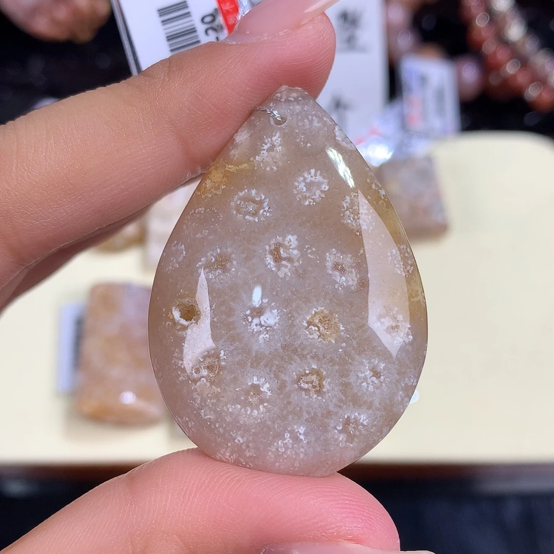 吊坠(赠链)未镶嵌硅化珊瑚（珊瑚玉）10号上新共生