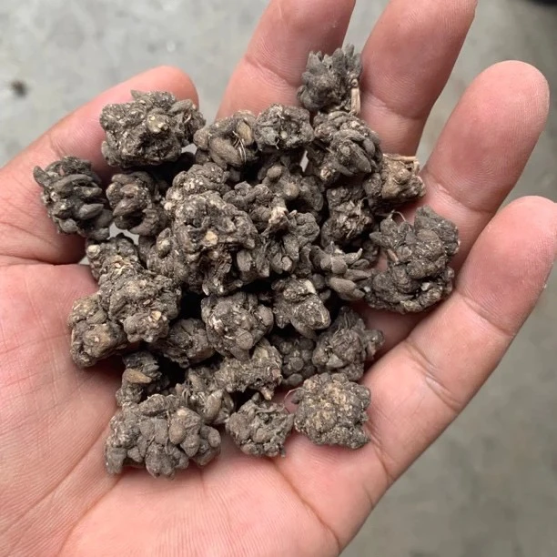 云南山货下山优质猫爪草健康之选