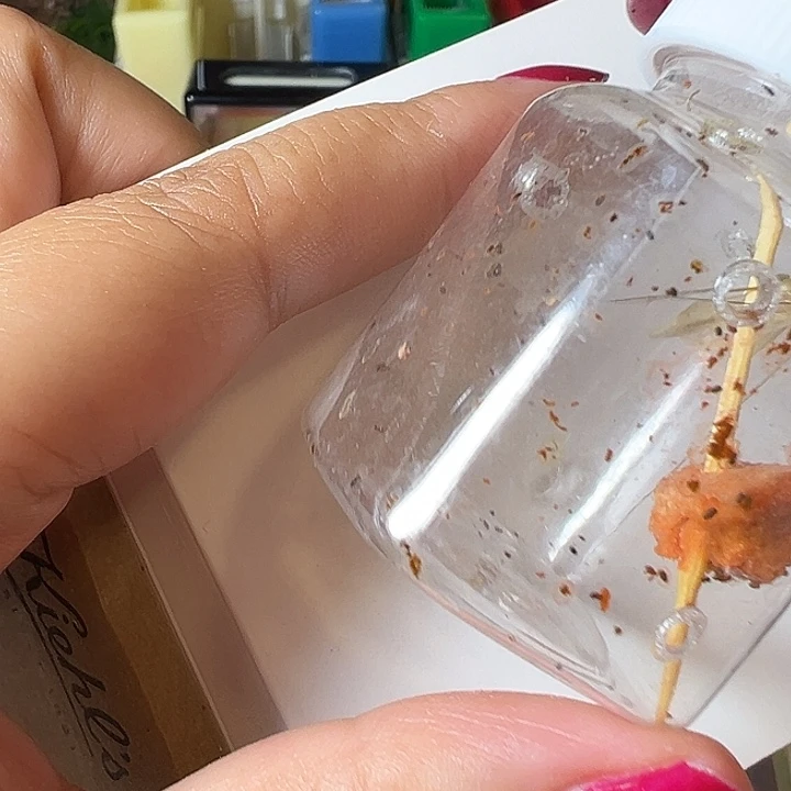 张***哥蟋蟀哈哈哈哈哈哈哈哈哈哈