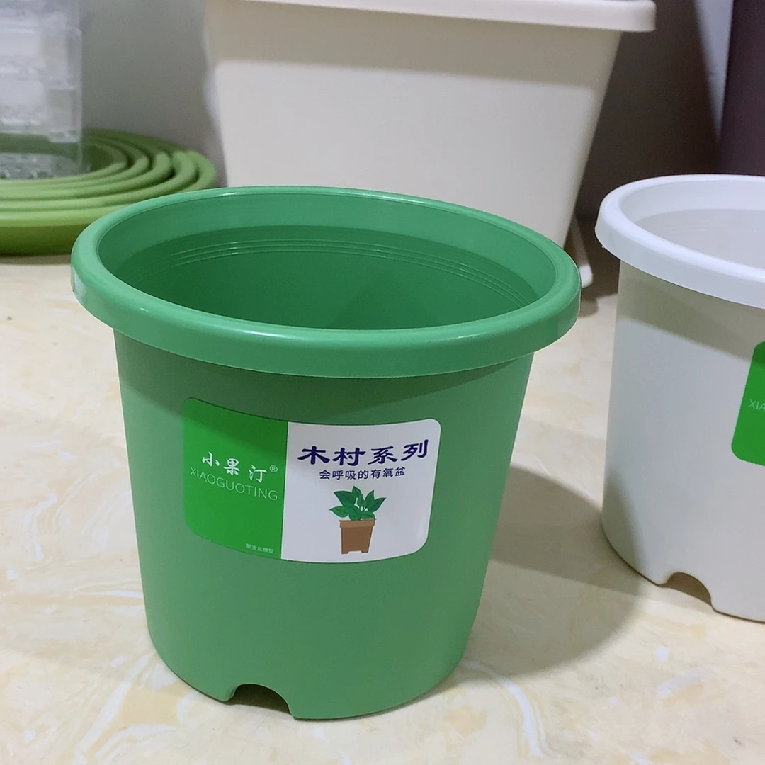 四季口15绿10个无托