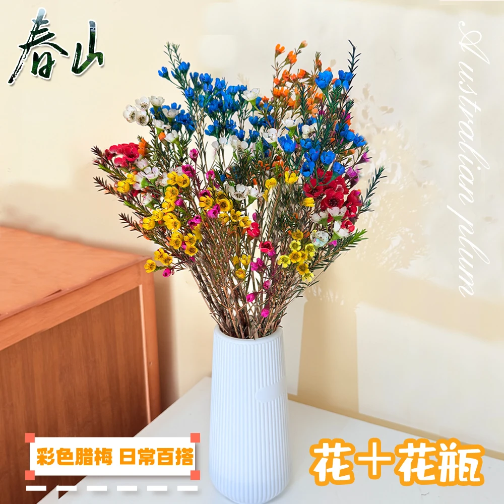 【混色腊梅+送花瓶+保鲜剂】鲜切年宵花可做干花家居摆放云南直发