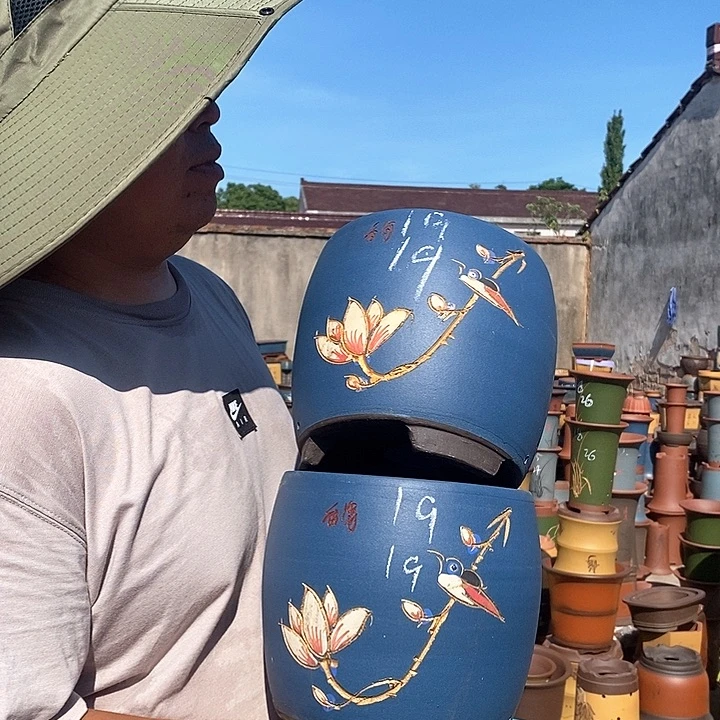 紫砂花盆盆栽花卉种植
