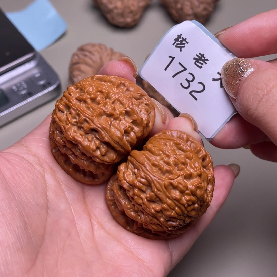 把件文玩核桃白狮子42.1732