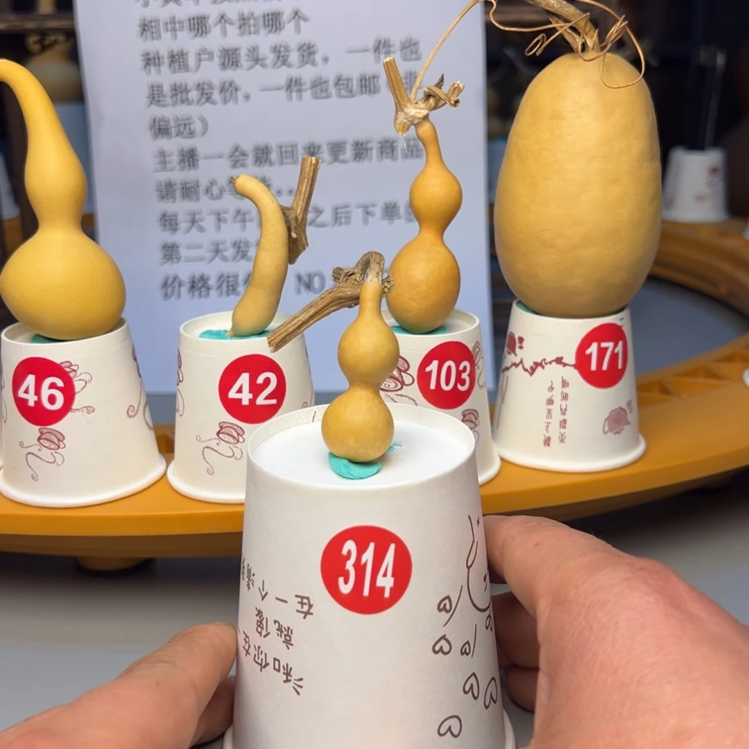 闪电购自助下单编号314