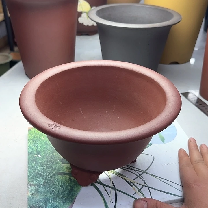 紫砂沙*222222222222222