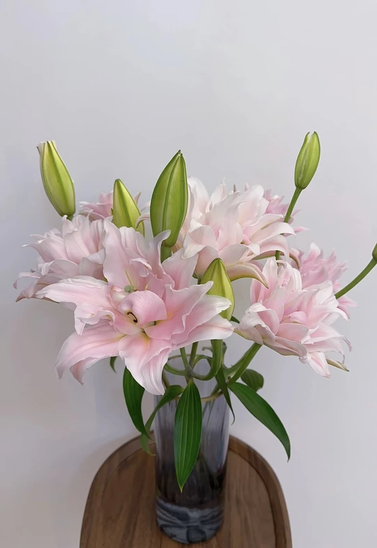 【噗噗的玫瑰花园】女神重瓣香水百合