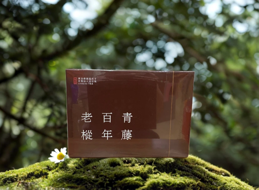 青藤百年老枞武夷岩茶