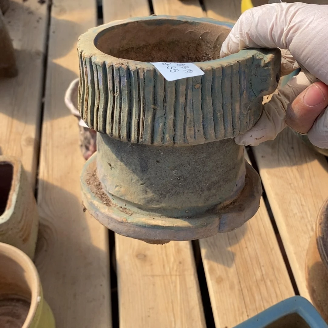 红陶彼*35号多肉盆一个呀