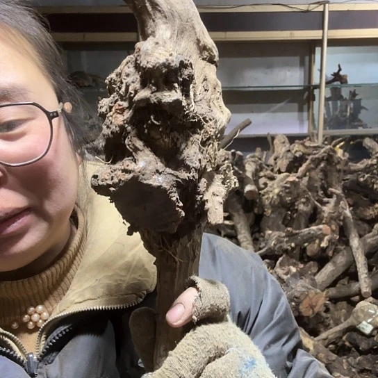 香榧木用****1火琉璃的毛料摆件