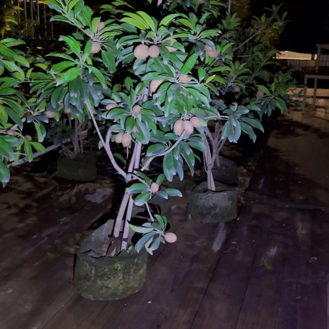 22222你的笑容是最美的风景你