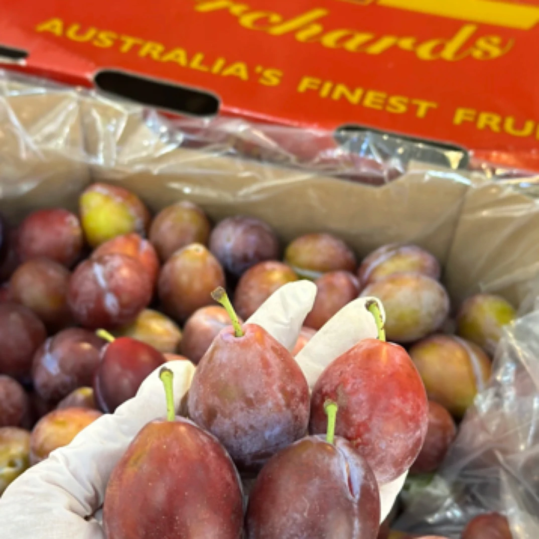 【配送到家】澳洲芝华士西梅一斤