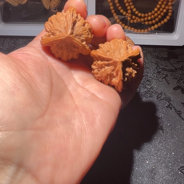 龙脊菩提吊坠三棱