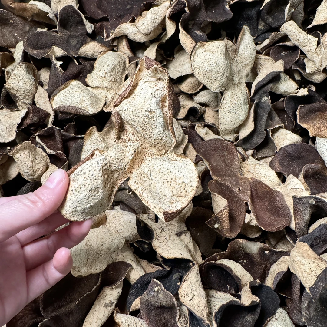 解茶人2013年新会陈皮东甲圈枝大红皮罐装自用款50g