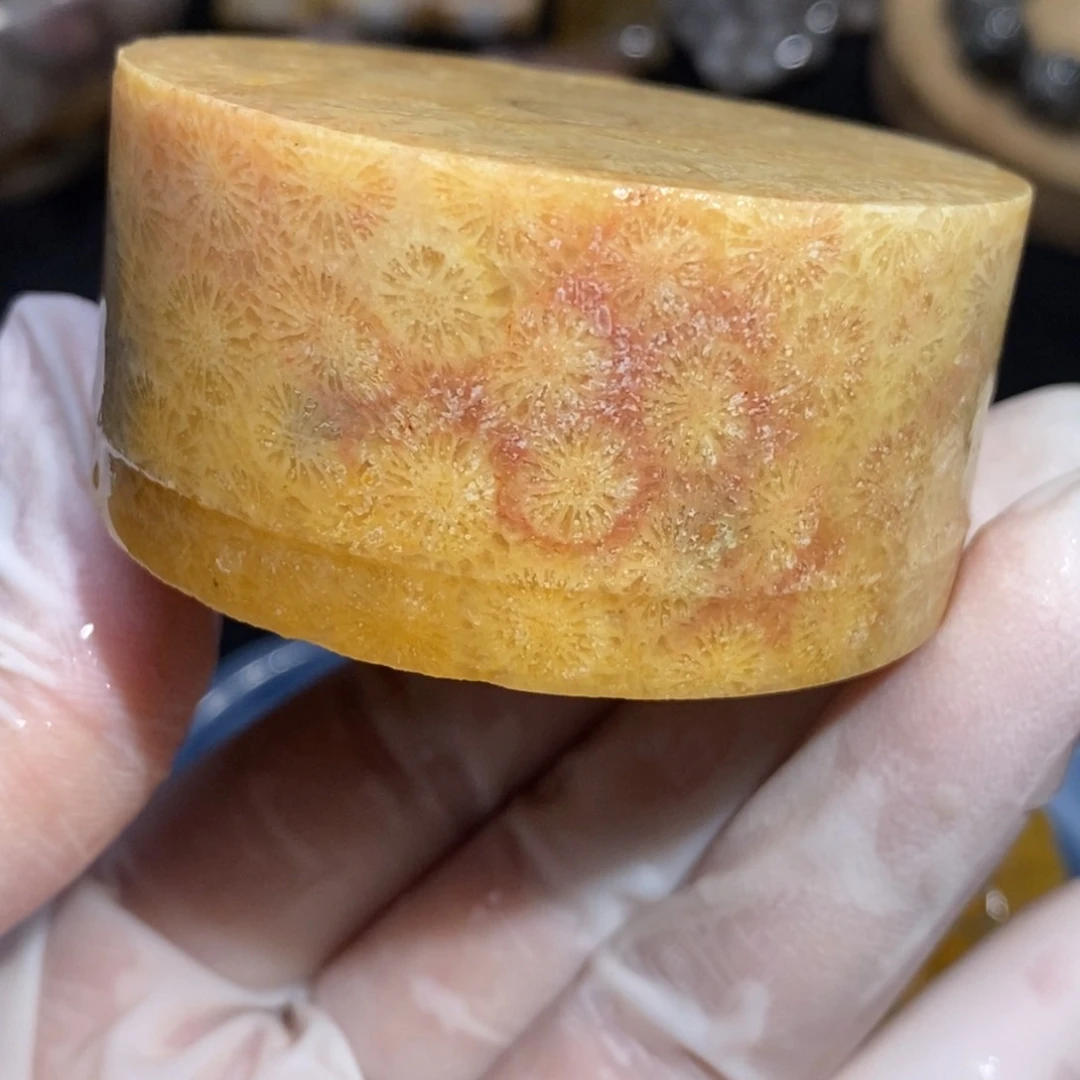 【闪购商品】硅化玉珊瑚玉未镶嵌