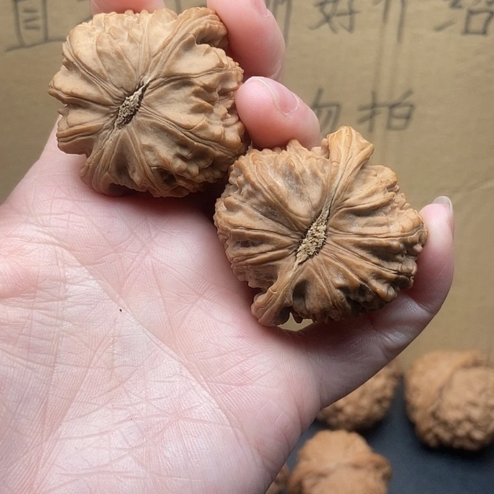 *****大大大大大大狮子黄