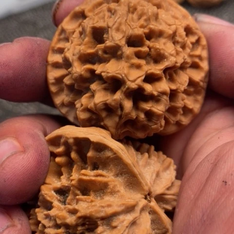 文玩核桃把件金刚纹3.3