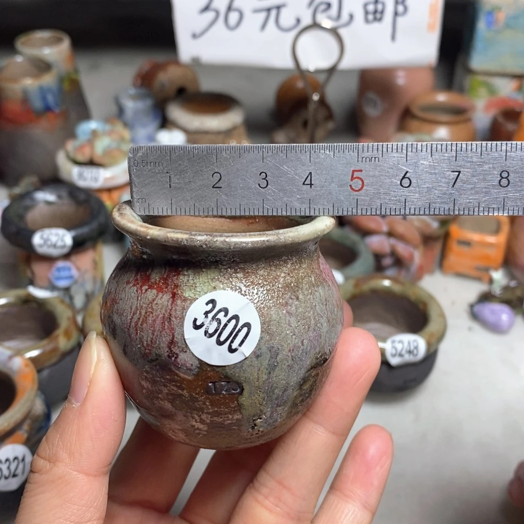 拍5送一个小礼物