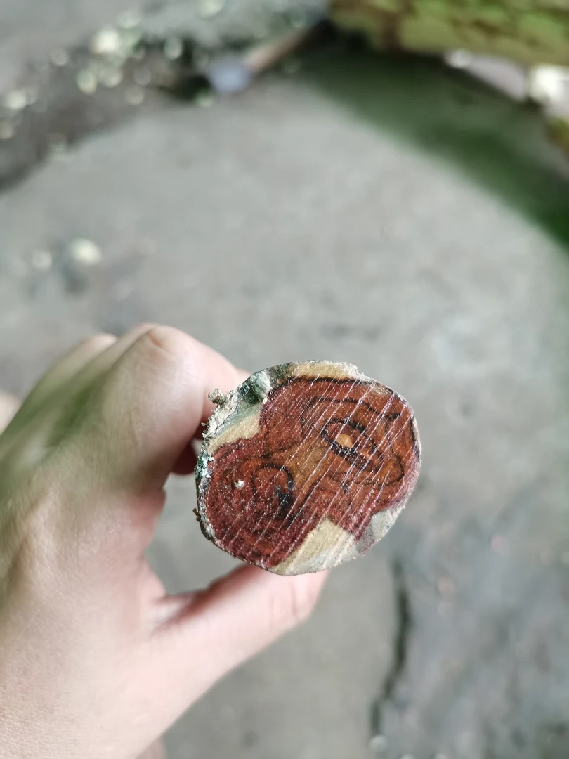 海南黄花梨原木料随行摆件