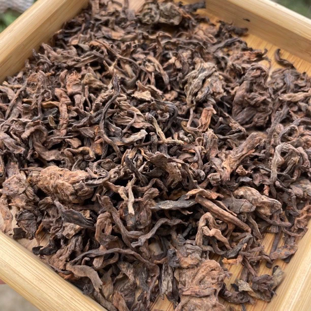 【上岭岗-八百年古树熟茶散料】2023年古树熟茶