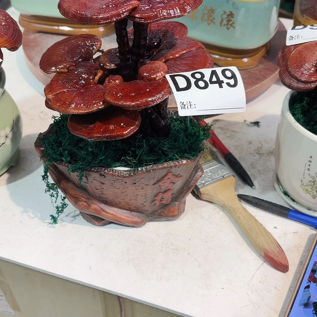 无花朵灵芝888888888899988888