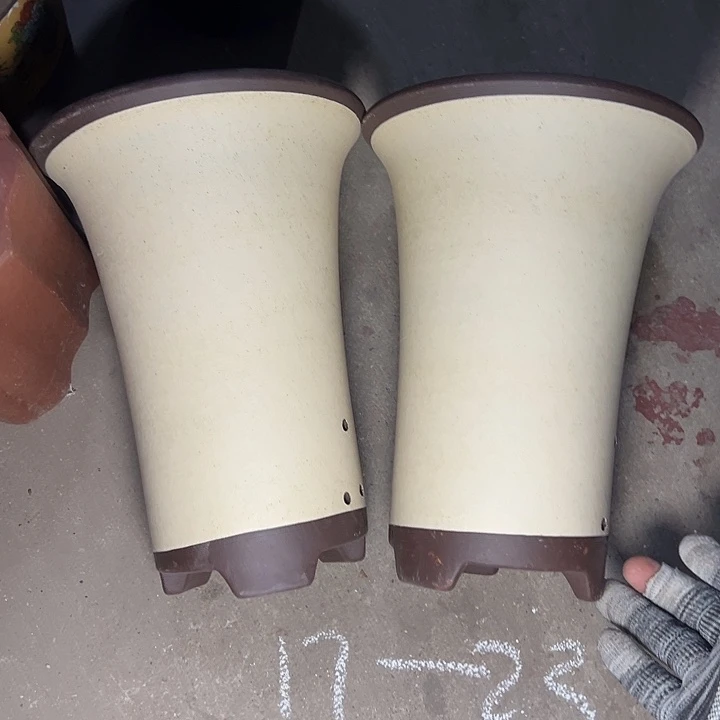 周深周深周深周深周深