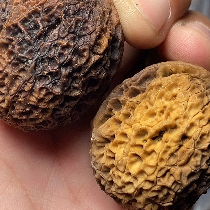 文玩核桃把件云南铁核桃17