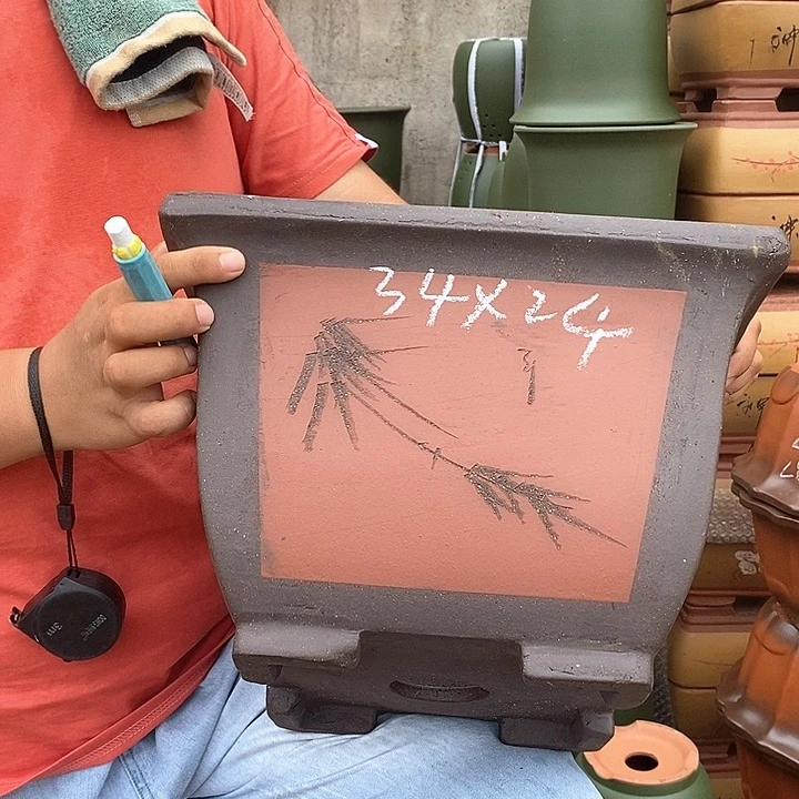 紫砂花盆盆栽植物种植