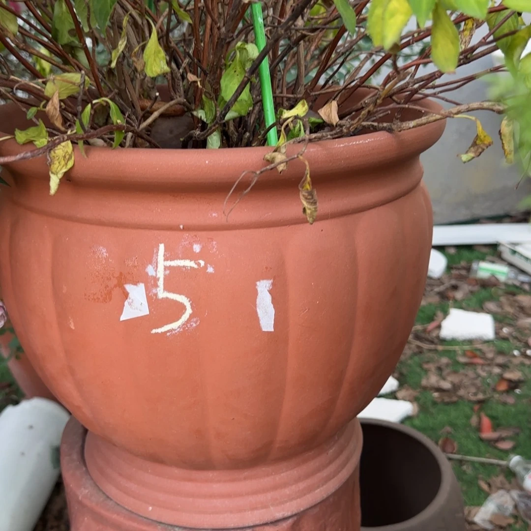 卷***朱泥花盆口35高30宜兴紫砂